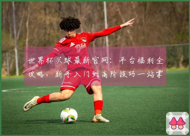 世界杯买球最新官网:平台福利全攻略,新手入门到高阶技巧一站掌握
