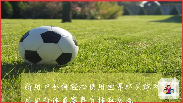 新用户如何轻松使用世界杯买球网址进行体育赛事直播和交流
