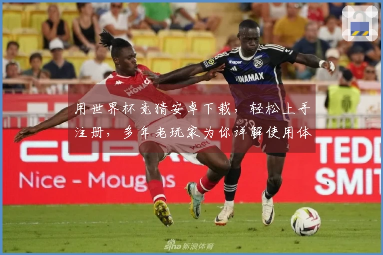 用世界杯竞猜安卓下载，轻松上手注册，多年老玩家为你详解使用体验